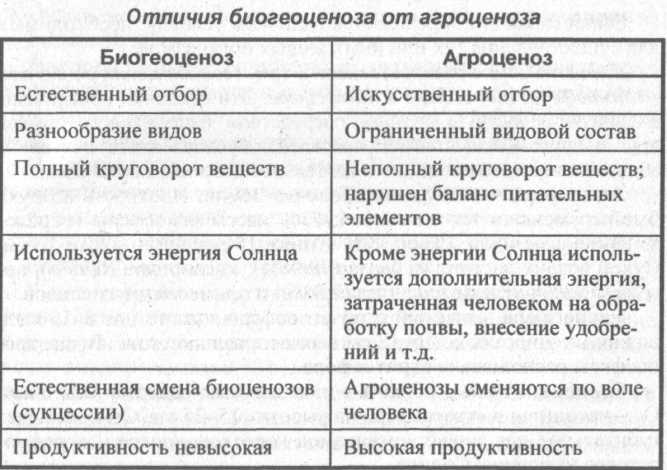 Агроценоз и биоценоз: в чем разница между этими экосистемами?