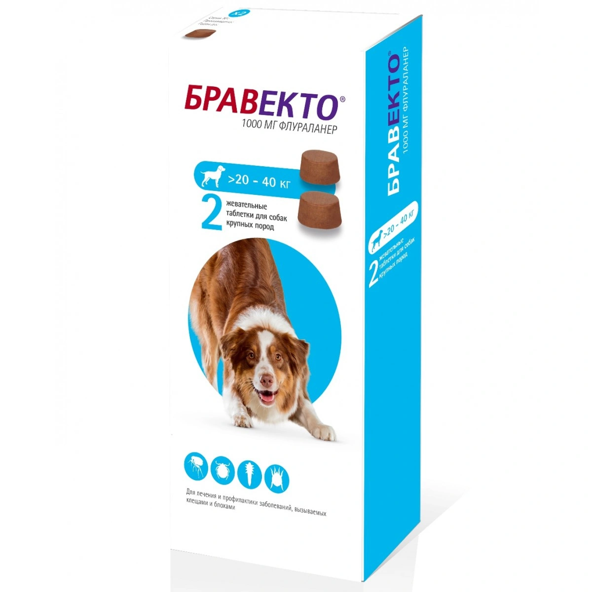 Бравекто и Бравекто Интервет: в чем разница и какой выбрать?