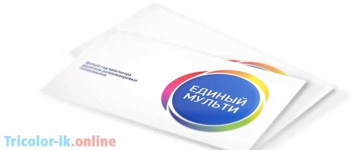 Чем отличается Единый и Единый Мультилайт: различия и особенности