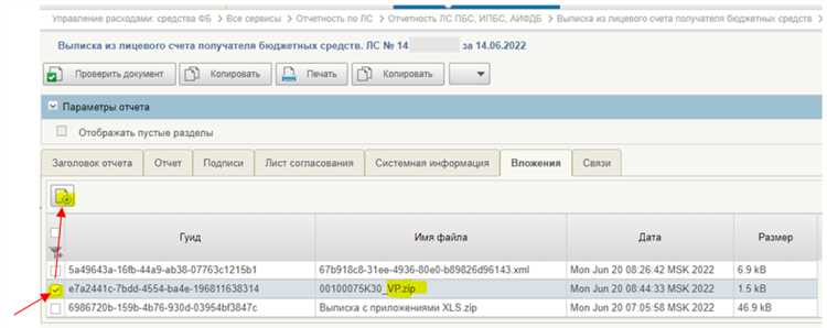 Чем отличается электронный бюджет от СУФД: разбираемся в подробностях