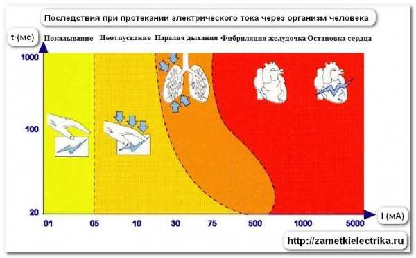 Что происходит с организмом человека при попадании под действие электрошокера?
