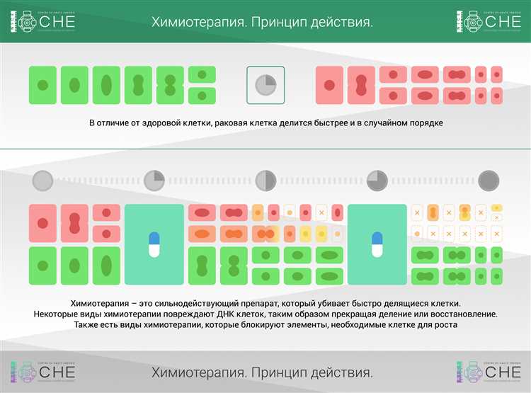 Иммунотерапия и химиотерапия: в чем различия?