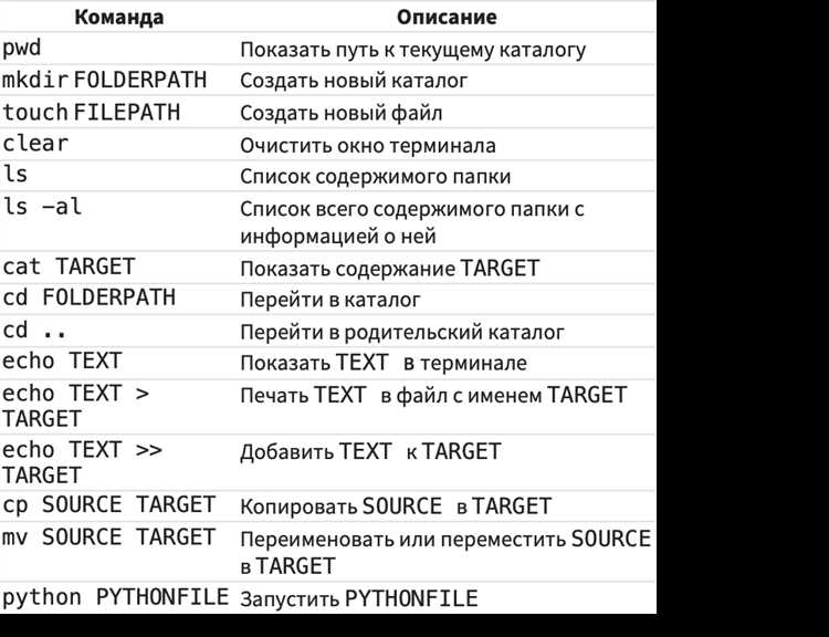 Как быстро и удобно переместиться из терминала B в С: подробная инструкция