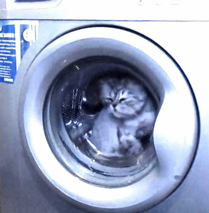 Как быстро остановить сушку в стиральной машине – эффективные способы