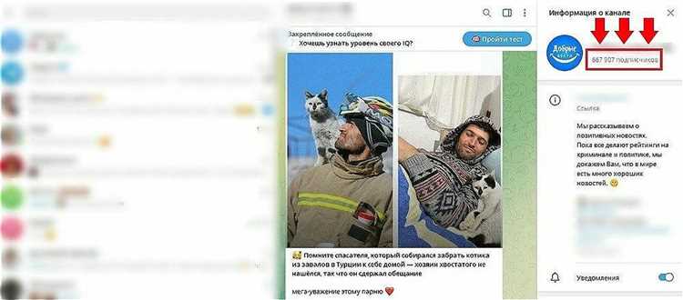 Как быстро увеличить количество участников в канале Telegram: советы и лайфхаки