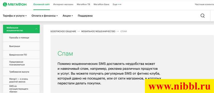 Основные источники спама в СМС
