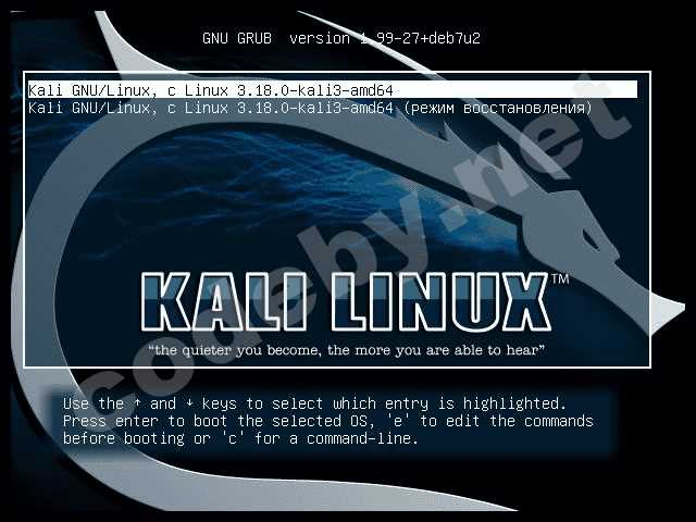 Как изменить и сбросить root-пароль в Kali Linux: подробный гайд