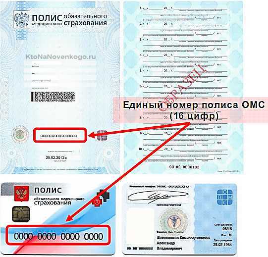 Как оформить полис на Госуслугах: подробная инструкция