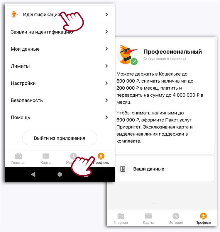 Как получить статус основной киви: подробная инструкция