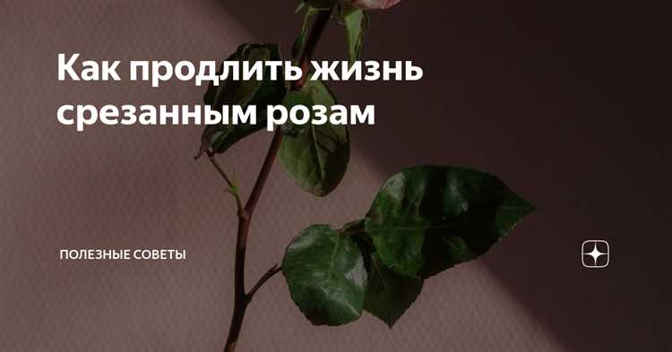 1. Регулярность полива
