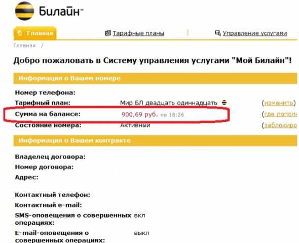 Варианты проверки баланса в приложении Билайн