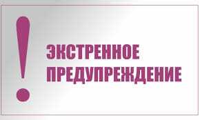 Как проверить свою квоту? Полный гид для начинающих