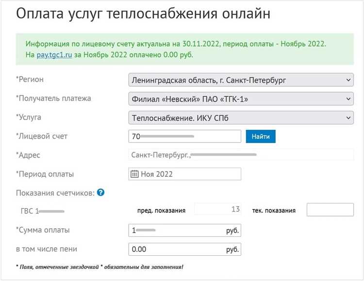 Как узнать номер лицевого счета ТГК 1: пошаговая инструкция
