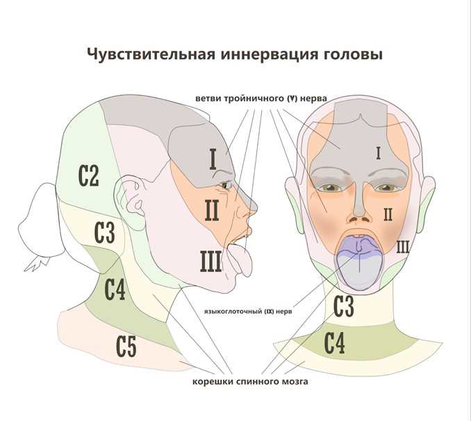 Невропатия и невралгия: различия и признаки