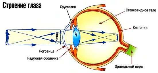 Оптическая система iOptik, что это такое и как работает