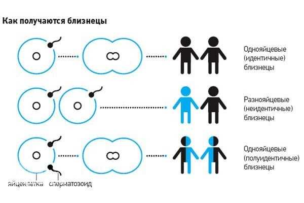 Отличаются и различаются: как понять разницу