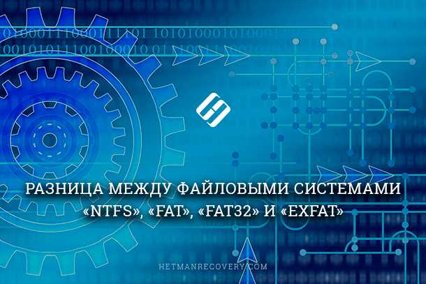 Раздел 4: Различия в структуре и размере файлов