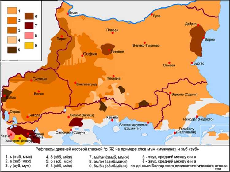 Отличия словенского языка от сербского: сравнение и особенности