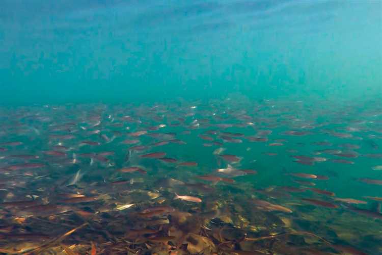 Другие факторы, влияющие на точку замерзания воды:
