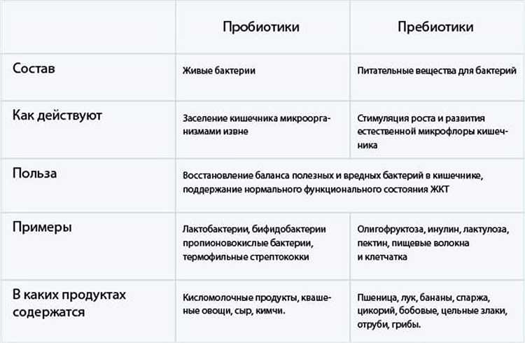 Пробиотики или симбиотики: разбираемся в разнице
