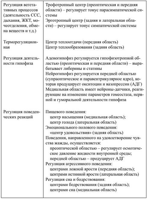 Различия между таламусом и гипоталамусом: чем они отличаются?