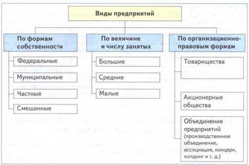 Типы товаров: виды, различия, примеры